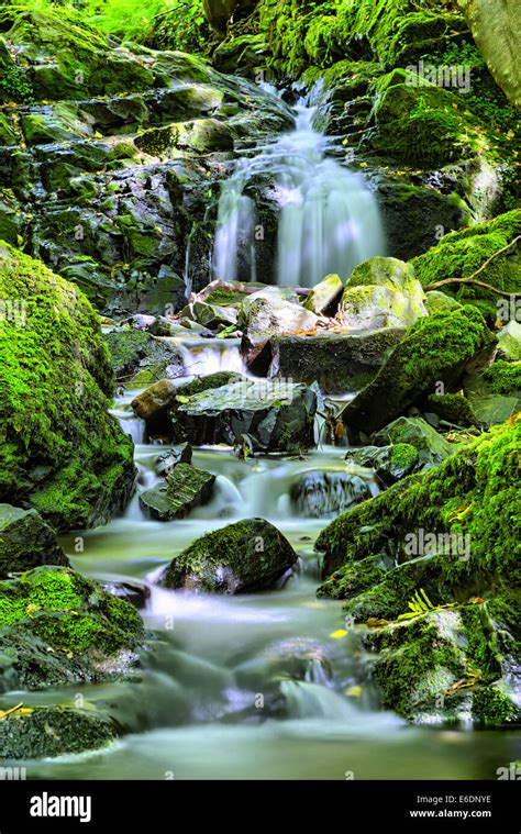 Little Waterfall In The Woods Stock Photo Alamy