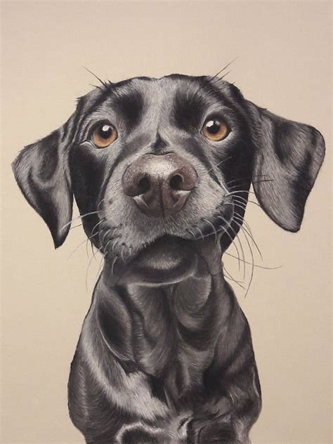 Custom Pastel Pencil Drawing Dog Portrait Etsy Realistic Animal