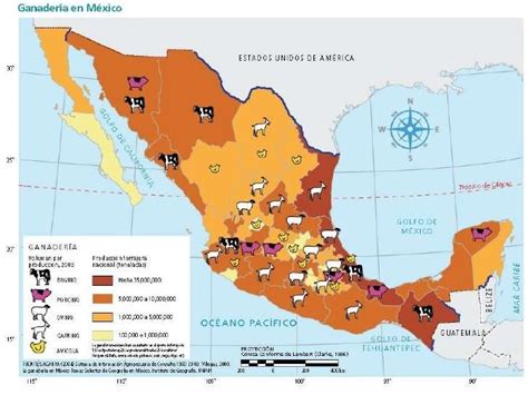 Mapa Ganaderia En Mexico Arbol