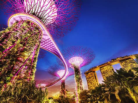 How To Experience Singapore By Night Travel Insider