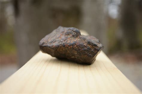 Extremely Rare Meteorite Discovered In Romania On Display At Dino Parc