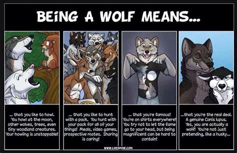 Being A Wolf Means Male Furry Furry Wolf Furry Art Furry Pics Furry Meme Wolf Pictures
