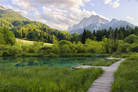 Beautiful Slovenia Zelenci By Igor Mitrovic On 500px Visit Slovenia