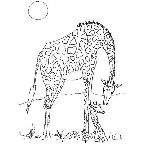 Coloriage Girafe Dafrique Dessin Gratuit à Imprimer