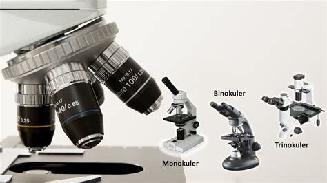 Fungsi Bagian Mikroskop Serta Sejarah Dan Pengertiannya
