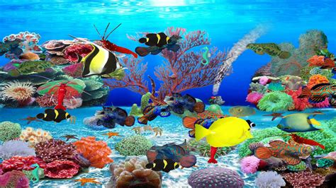 Marine Aquarium Screensaver Free Download Liftulsd