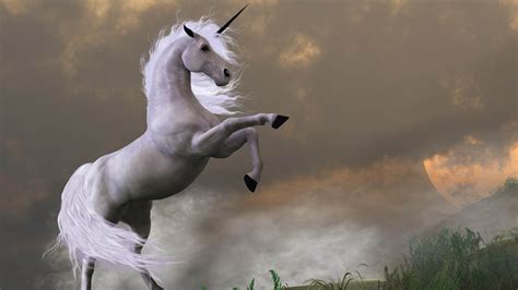 Unicorns 7 Strange Facts About These Mythical Creatures