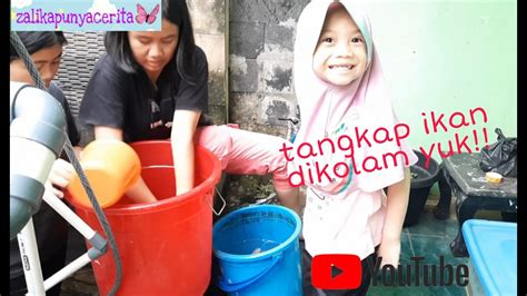 Pengelolaan perikanan berkelanjutan ini berdampak pada aspek ekologi, sosial, dan ekonomi. Tangkap ikan dikolam yuk !!! #zalikapunyacerita - YouTube