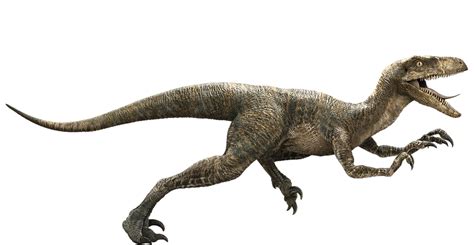 Jurassic World Velociraptor By Sonichedgehog2 On Deviantart