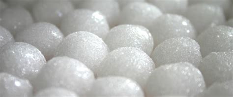 Mothballs and cats mothballs and dogs mothball toxicity pet. How to get rid of bats in various scenarios? | Pest ...