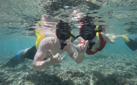 The 5 Best Oahu Snorkeling Tours 🤿 2022 Reviews World Guide To Travel