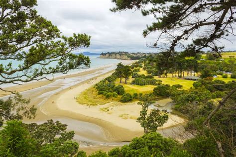 Long Bay Beach Auckland New Zealand Regional Park Stock Photo Image