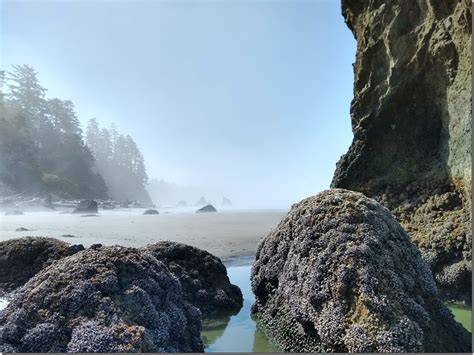 The Best 3 Day Olympic National Park Itinerary Ordinary Adventures