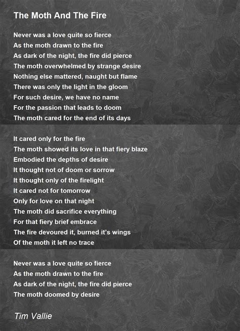 The Moth And The Fire The Moth And The Fire Poem By Tim Vallie