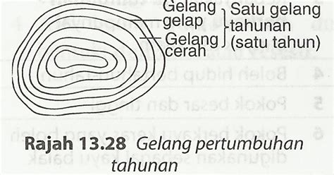 Karya penulis june 13, 2012. Proses Kejadian Tumbuh - tumbuhan Dari Segi Sains dan ...