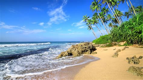 Desktop Wallpaper Beach Sea Waves Tropical Beach Palm