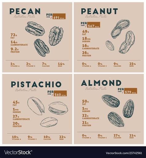 Nutrition Facts Of Nut Pecan Peanut Pistachio Vector Image