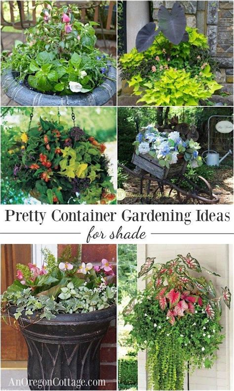 Different Types Of Potted Plants With The Words Pretty Container