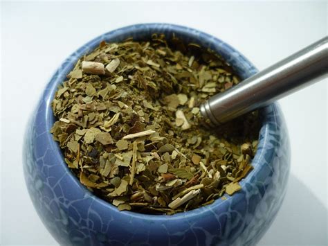7 Proven Benefits Of Yerba Mate Yerba Mate Is A South American By Joshua Chavez Medium