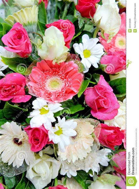Piante di fiori acquatici iris. Fiori Mixed immagine stock. Immagine di gerber, ferns ...