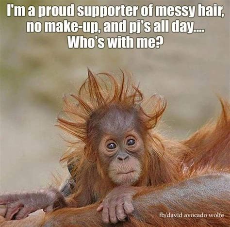 Funny monkey learn lesson quotes and past hurts image 592298 on favim com. Pin by Mary Whitfield on Funny Quotes & Memes & Sayings in 2020 | Morning quotes funny, Funny ...