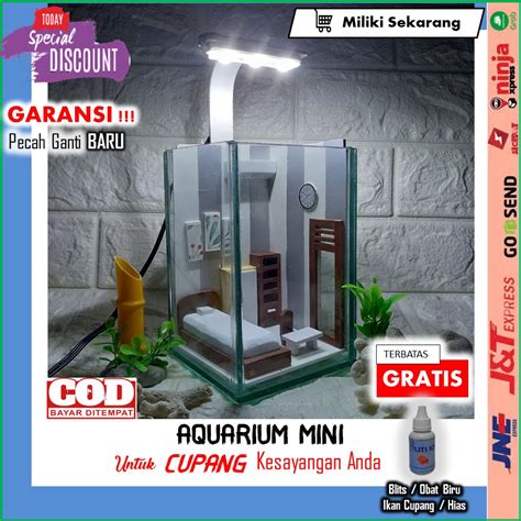 Tantangan dalam memilih akuarium ikan cupang. AQUARIUM MINI Akuarium Soliter Mini Kamar Kos Kandang Ikan ...