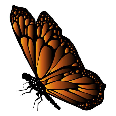 Detailed Butterfly Vector Transparent Png And Svg Vector File