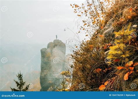 Autumn Colors In The Elbe Sandstone Mountains Stock Image Image Of