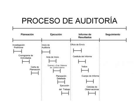 Audit Consultores Y Asociados El Proceso De Auditoria