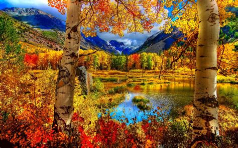 Free Download Landscape Background Mobile Season Tree Seasons Leaf 1920x1200 For Your Desktop