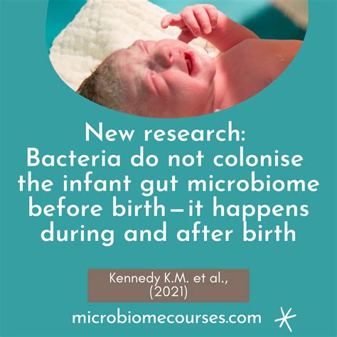 New Research Bacteria Do Not Colonise The Infant Gut Microbiome