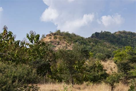 Hill Forest Trees And Sky Landscape Central India Madhya Pradesh