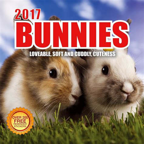 New Years 2017 Bunny Rabbit Wall Calendars Easter Wikii