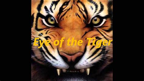 Eye Of The Tiger Original Hd Youtube