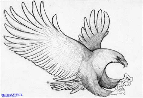 Pencil Sketches Of Birds At Explore Collection Of