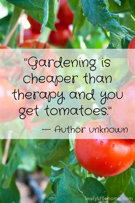 27 Inspirational Gardening Quotes With Photos The Leafy Little Home