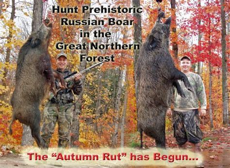 Discover Boar Hunting Click Here Now Autumn Time Hunt And Slay An
