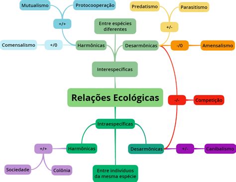 Relações Ecológicas Mapa Mental