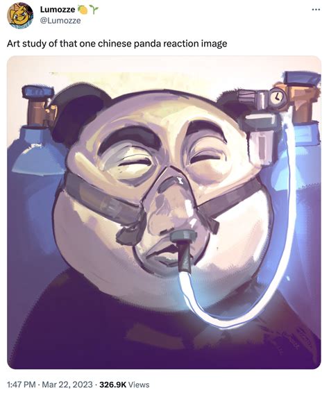 Art Study Of That One Chinese Panda Reaction Image Chinese Panda Wearing Oxygen Mask Know