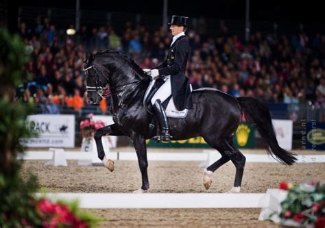 Why did edward gal name his horse totilas? Veilingitem op EDS: hoefijzer van Totilas met Swarovski ...