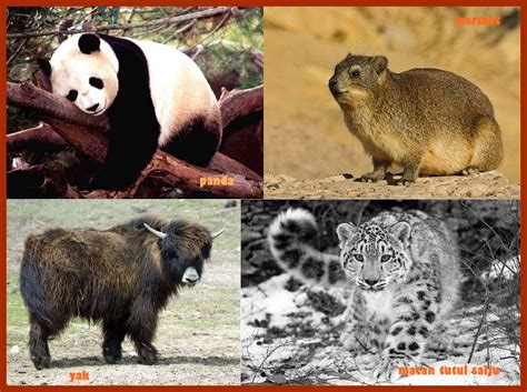 Maybe you would like to learn more about one of these? ASIA TENGAH | GENERAL SCIENCE