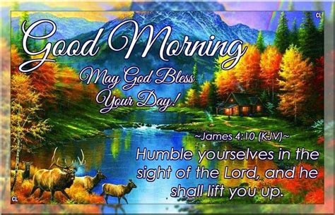 Good Morning May God Bless Your Day Pictures Photos And Images For