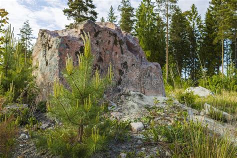 Beautiful View Of Rough Rocky Forest Soil Landscape Beautiful Outdoor