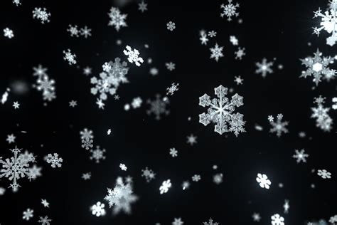 Some ‘snowflakes Can Take The Heat The Boston Globe