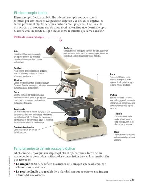 Dibujo De Microscopio Optico Y Sus Partes