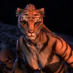 Feral Tigress Profile