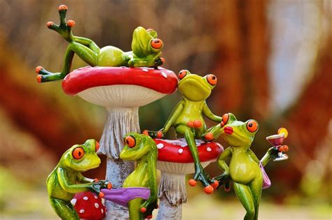 Group Of Different Green Frogs Near A Mushroom Free Image Download