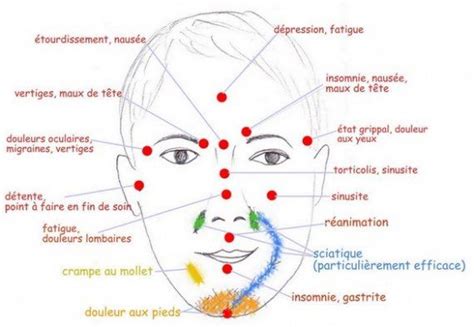 Les Points Du Visage Plus Dinfos Reflexologie Faciale