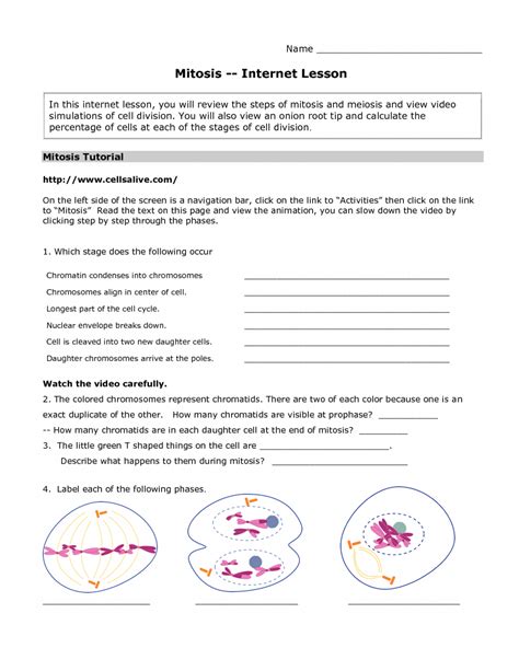 Meiosis shares mechanisms and regulation with mitosis in many aspects, but also has critical differences from mitosis. Meiosis Internet Lesson Answers : Biological Science Picture Directory - Pulpbits.net