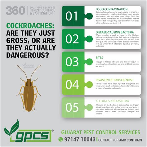 Tips To Protect Your House From Cockroaches Gujarat Pest Control Services® Pest Control